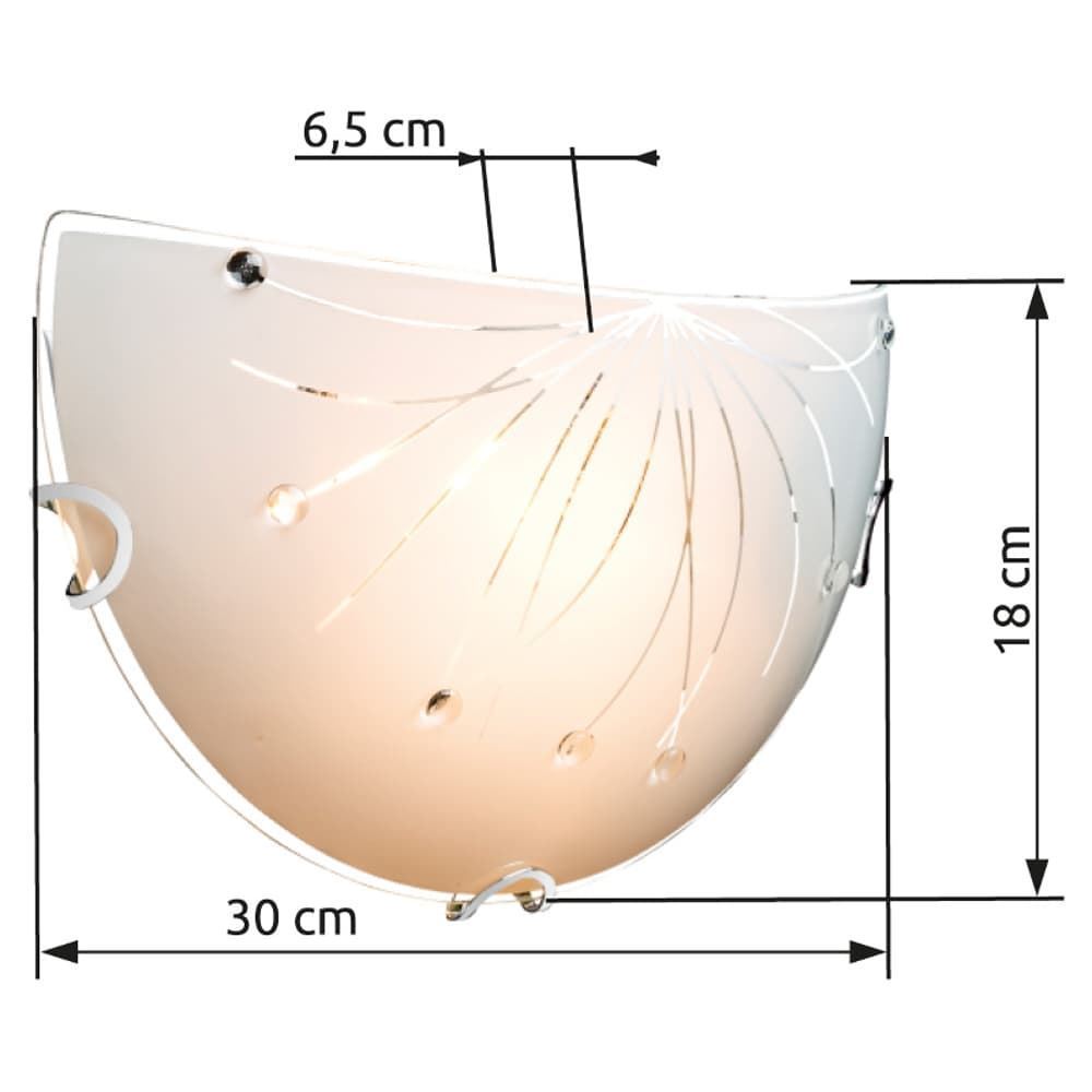 Aplique Calimero en Semicírculo - Imagen 4