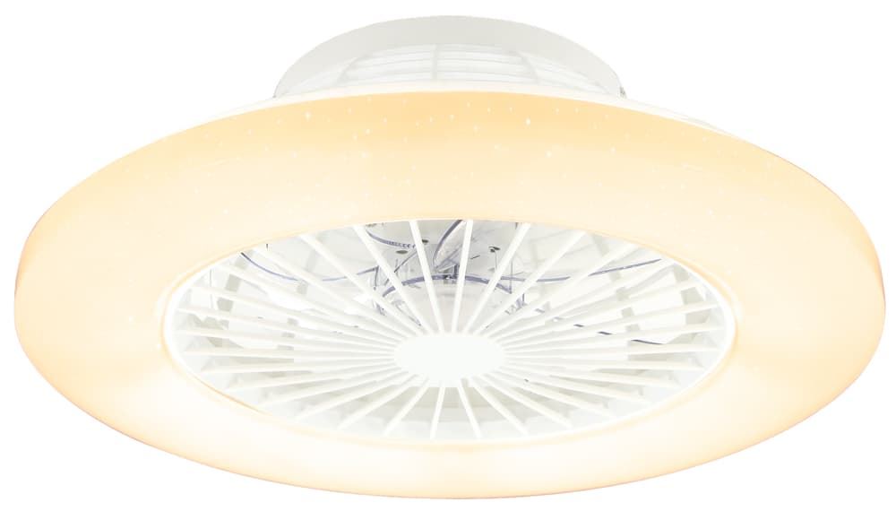 Plafón con Ventilador Travo - Imagen 1